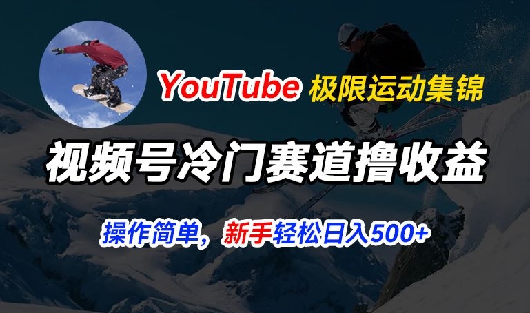 视频号冷门赛道撸收益，YouTube搬运极限运动集锦，暴力起号，操作简单流量高，轻松日入5张-旺铺专家
