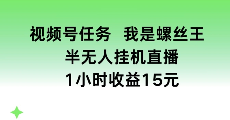 视频号任务，我是螺丝王， 半无人挂机1小时收益15元-旺铺专家