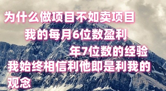 做项目不如卖项目，每月6位数盈利，年7位数经验-旺铺专家