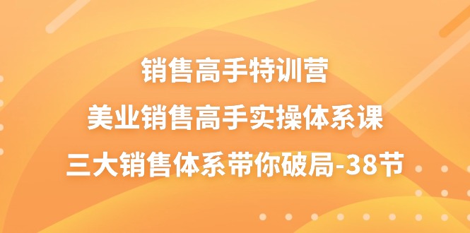 销售高手特训营，美业销售高手实操体系课，三大销售体系带你破局（38节）-旺铺专家