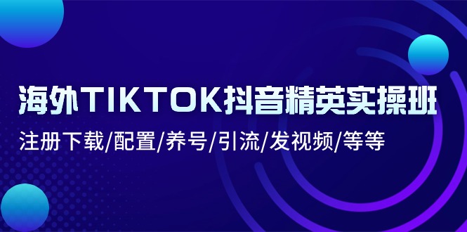 海外TIKTOK抖音精英实操班：注册下载/配置/养号/引流/发视频/等等-旺铺专家