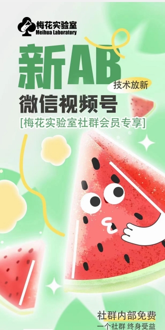 梅花实验室2024年AB技术视频号AB合成破解版-旺铺专家