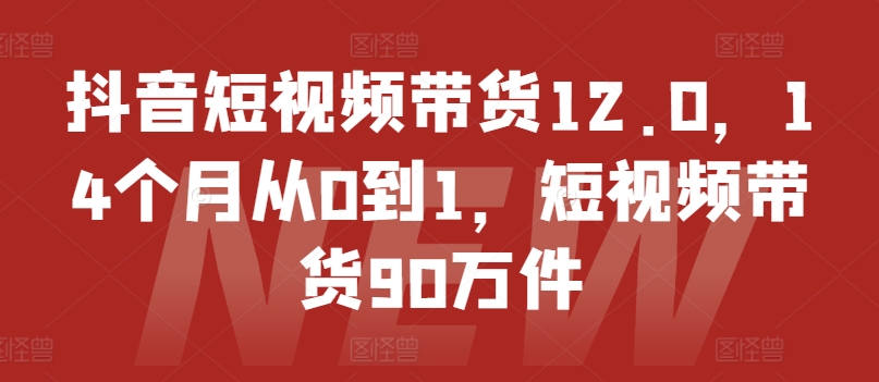 抖音短视频带货12.0，14个月从0到1，短视频带货90万件-旺铺专家