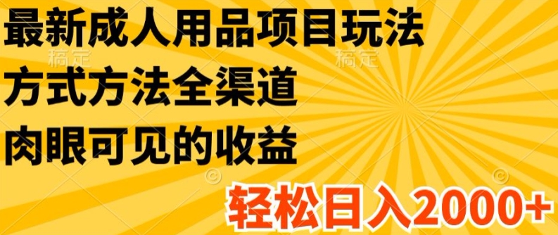 最新成人用品项目玩法，方式方法全渠道，轻松日入2K+-旺铺专家