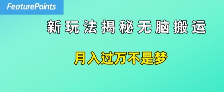 简单操作，每天50美元收入，搬运就是赚钱的秘诀-旺铺专家