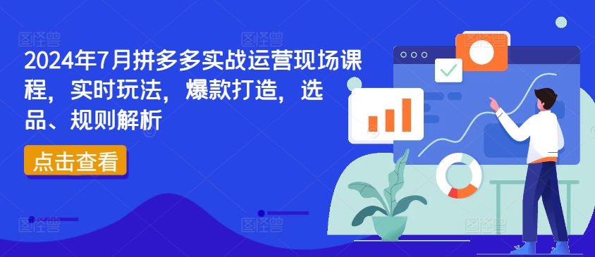 2024年7月拼多多实战运营现场课程，实时玩法，爆款打造，选品、规则解析-旺铺专家