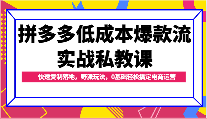 拼多多低成本爆款流实战私教课，快速复制落地，野派玩法，0基础轻松搞定电商运营-旺铺专家