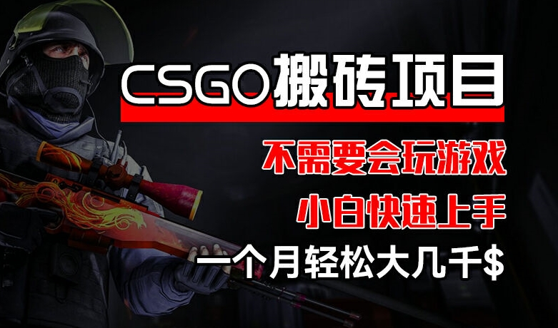 CSGO 装备搬砖项目，操作简单，不需要会玩游戏，小白也能快速上手，一个月轻松大几千-旺铺专家