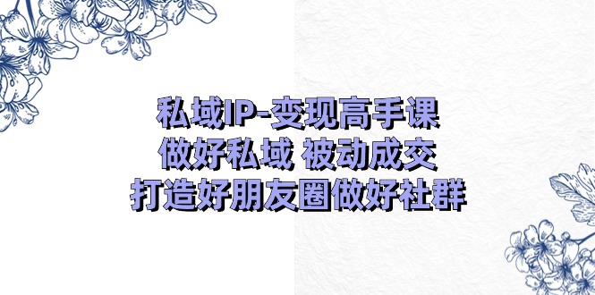 私域IP变现高手课：做好私域被动成交，打造好朋友圈做好社群（18节）-旺铺专家