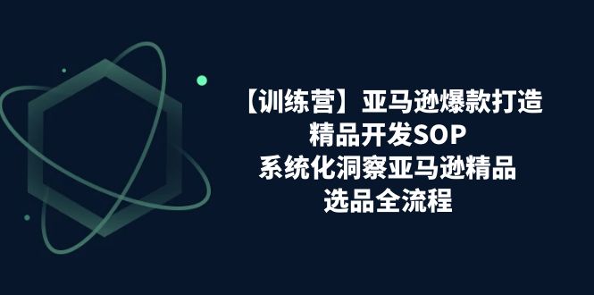 亚马逊爆款打造之精品开发SOP【训练营】，系统化洞察亚马逊精品选品全流程-旺铺专家