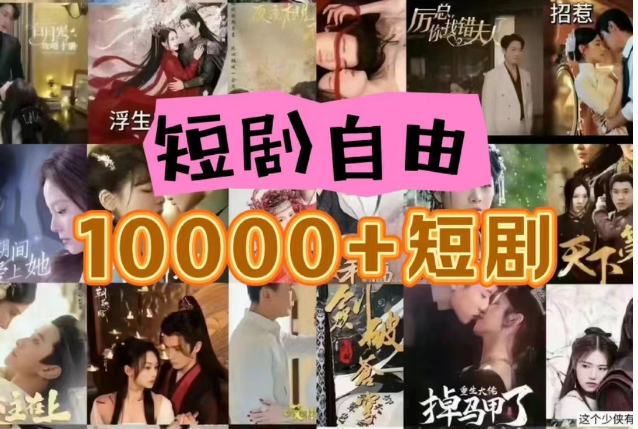 打造完全属于自己的个人短剧库，实现网盘拉新与私域变现的完美融合！-旺铺专家