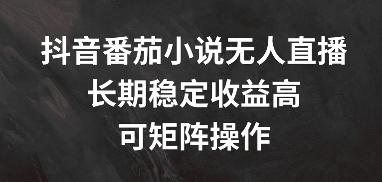 抖音番茄小说无人直播，长期稳定收益高，可矩阵操作-旺铺专家
