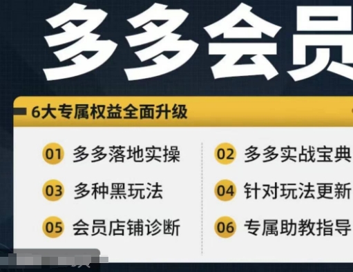 拼多多会员，拼多多实战宝典+实战落地实操，从新手到高阶内容全面覆盖-旺铺专家