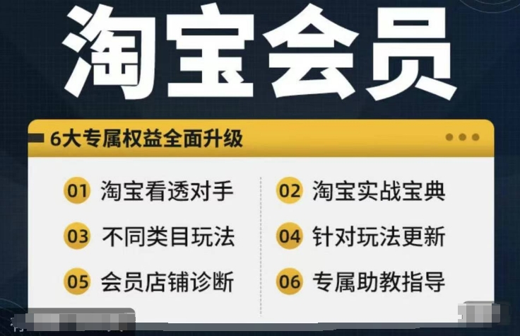淘宝会员【淘宝所有课程，全面分析对手】，初级到高手全系实战宝典-旺铺专家