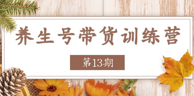 养生号带货训练营【第13期】收益更稳定的玩法，让你带货收益爆炸-旺铺专家