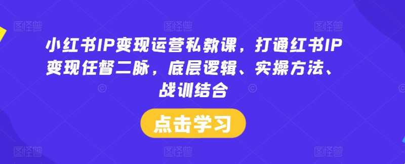 小红书IP变现运营私教课，打通红书IP变现任督二脉，底层逻辑、实操方法、战训结合-旺铺专家