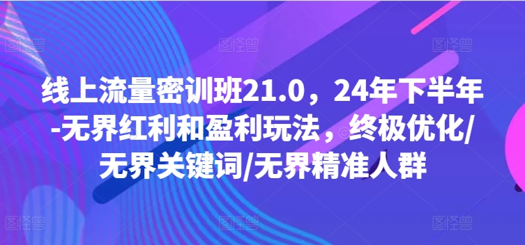 线上流量密训班21.0，24年下半年-无界红利和盈利玩法，终极优化/无界关键词/无界精准人群-旺铺专家