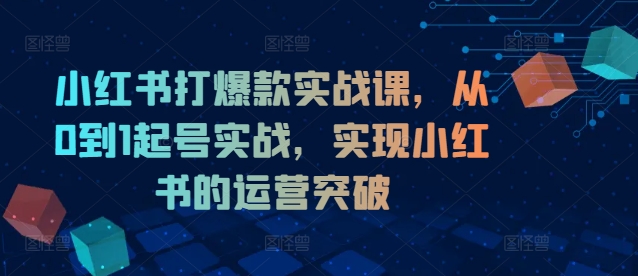 小红书打爆款实战课，从0到1起号实战，实现小红书的运营突破-旺铺专家