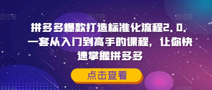 拼多多爆款打造标准化流程2.0，一套从入门到高手的课程，让你快速掌握拼多多-旺铺专家