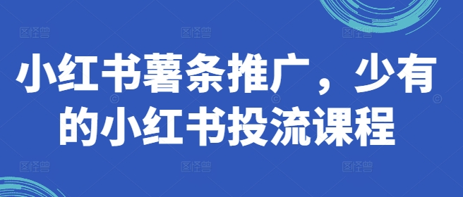 小红书薯条推广，少有的小红书投流课程-旺铺专家
