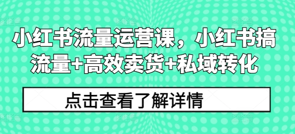 小红书流量运营课，小红书搞流量+高效卖货+私域转化-旺铺专家