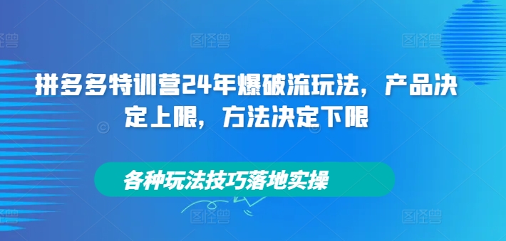 拼多多特训营24年爆破流玩法，产品决定上限，方法决定下限，各种玩法技巧落地实操-旺铺专家