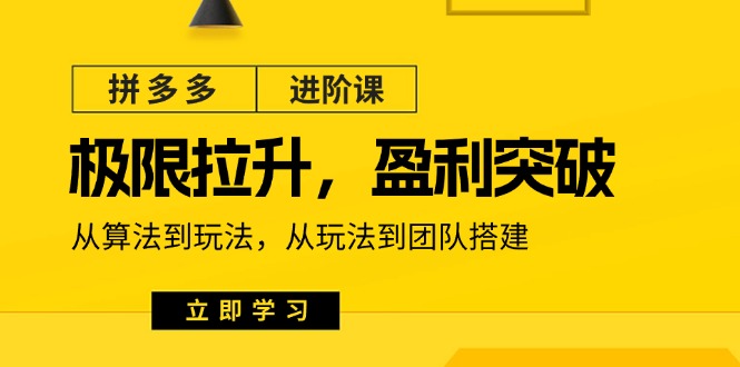 拼多多进阶课：极限拉升/盈利突破：从算法到玩法 从玩法到团队搭建（18节）-旺铺专家