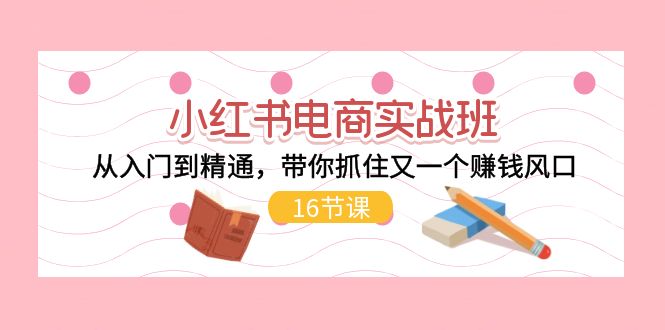 小红书电商实战班，从入门到精通，带你抓住又一个赚钱风口（17节）-旺铺专家