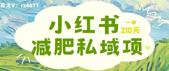 小红书减肥粉，私域变现项目，一单就达210元，小白也能轻松上手-旺铺专家
