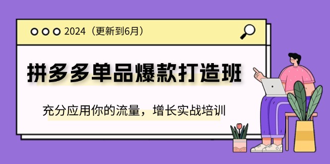 2024拼多多单品爆款打造班，充分应用你的流量，增长实战培训(更新6月)-旺铺专家
