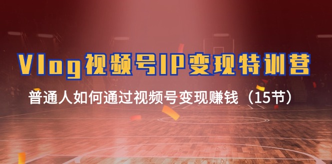 Vlog视频号IP变现特训营，普通人如何通过视频号变现赚钱（15节）-旺铺专家