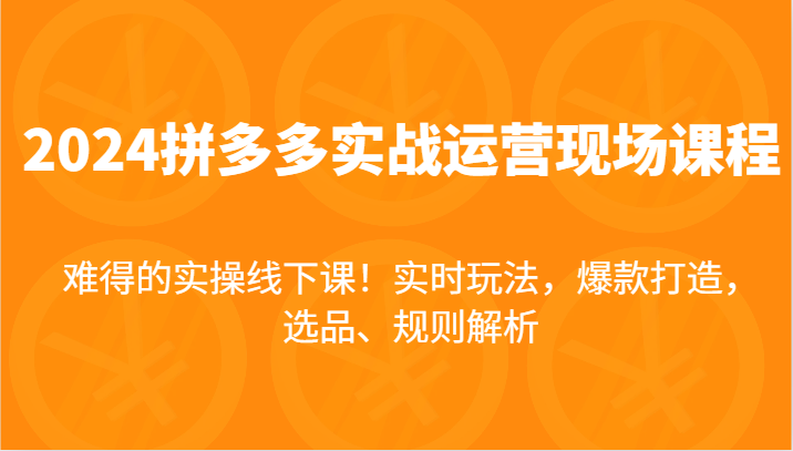 2024拼多多实战运营现场课，实时玩法，爆款打造，选品、规则解析，难得的实操线下课！-旺铺专家