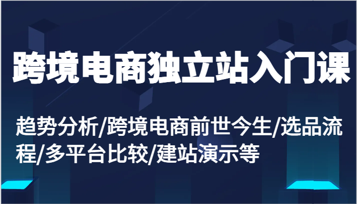 跨境电商独立站入门课：趋势分析/跨境电商前世今生/选品流程/多平台比较/建站演示等-旺铺专家