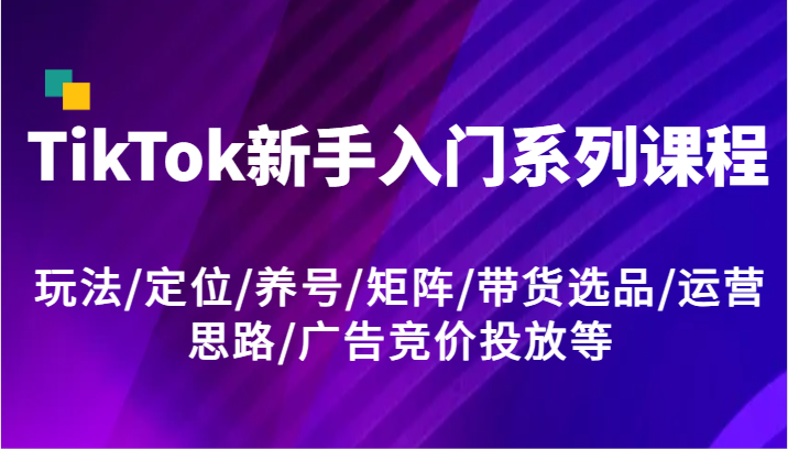 TikTok新手入门系列课程，玩法/定位/养号/矩阵/带货选品/运营思路/广告竞价投放等-旺铺专家
