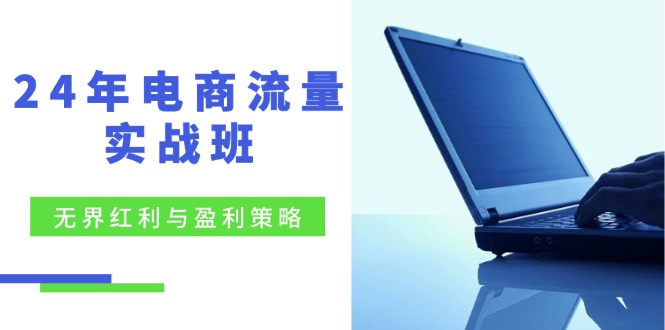 电商流量实战班：无界红利与盈利策略，终极提升/关键词优化/精准人群拓展/创新玩法-旺铺专家