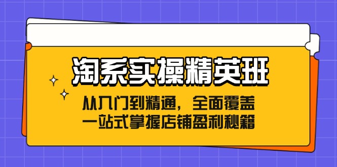 淘系实操精英班：从入门到精通，全面覆盖，一站式掌握店铺盈利秘籍-旺铺专家
