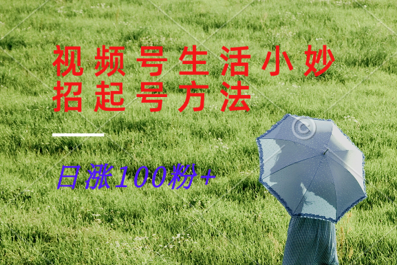 视频号生活小妙招分享赛道， 起号涨粉新方法，日涨100粉-旺铺专家