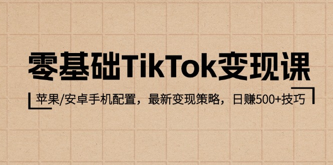 零基础TikTok变现课：苹果/安卓手机配置，最新变现策略，日赚500+技巧-旺铺专家