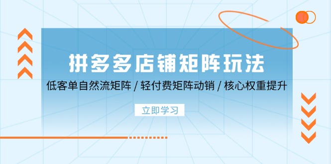 拼多多店铺矩阵玩法：低客单自然流矩阵 / 轻付费矩阵 动销 / 核心权重提升-旺铺专家
