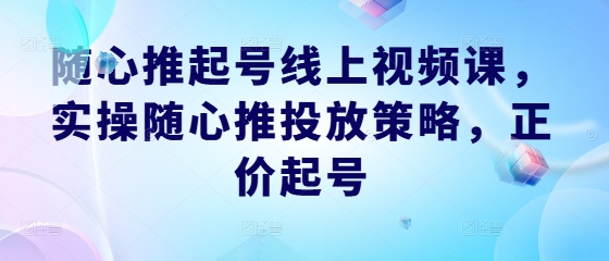 随心推起号线上视频课，实操随心推投放策略，正价起号-旺铺专家