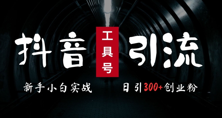 2024最新抖音工具号引流玩法，高效日引300+创业粉，当天变现5k，小白也可成为实战高手-旺铺专家