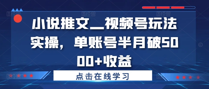 小说推文—视频号玩法实操，单账号半月破5000+收益-旺铺专家