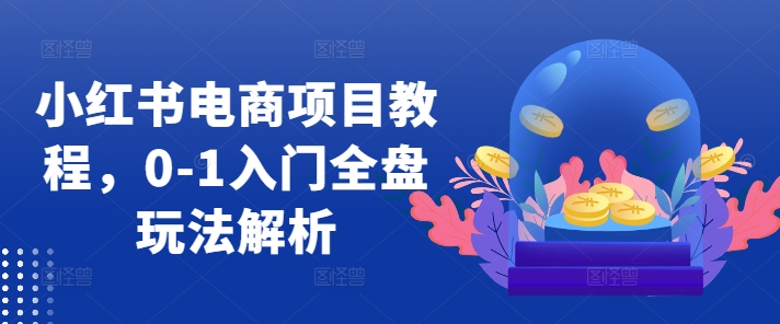 小红书电商项目教程，0-1入门全盘玩法解析-旺铺专家