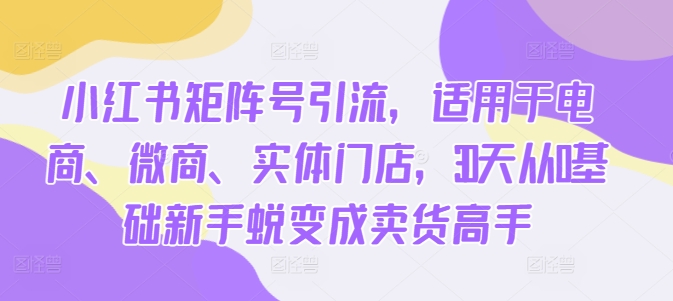 小红书矩阵号引流，适用于电商、微商、实体门店，30天从0基础新手蜕变成卖货高手-旺铺专家