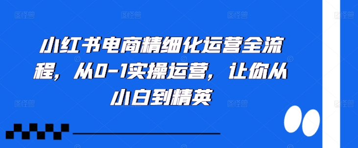 小红书电商精细化运营全流程，从0-1实操运营，让你从小白到精英-旺铺专家