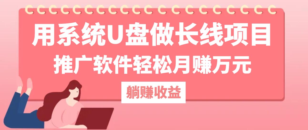用系统U盘做长线项目，推广软件轻松月赚万元-旺铺专家