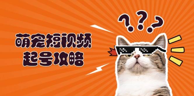 萌宠短视频起号攻略：定位搭建推流全解析，助力新手轻松打造爆款-旺铺专家