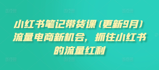 小红书笔记带货课(更新10月)流量电商新机会，抓住小红书的流量红利-旺铺专家