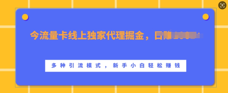 流量卡线上独家代理掘金，日入1k+ ，多种引流模式，新手小白轻松上手-旺铺专家