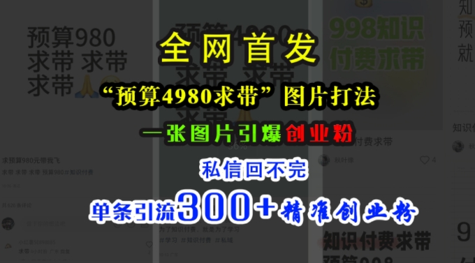 小红书“预算4980带我飞”图片打法，一张图片引爆创业粉，私信回不完，单条引流300+精准创业粉-旺铺专家
